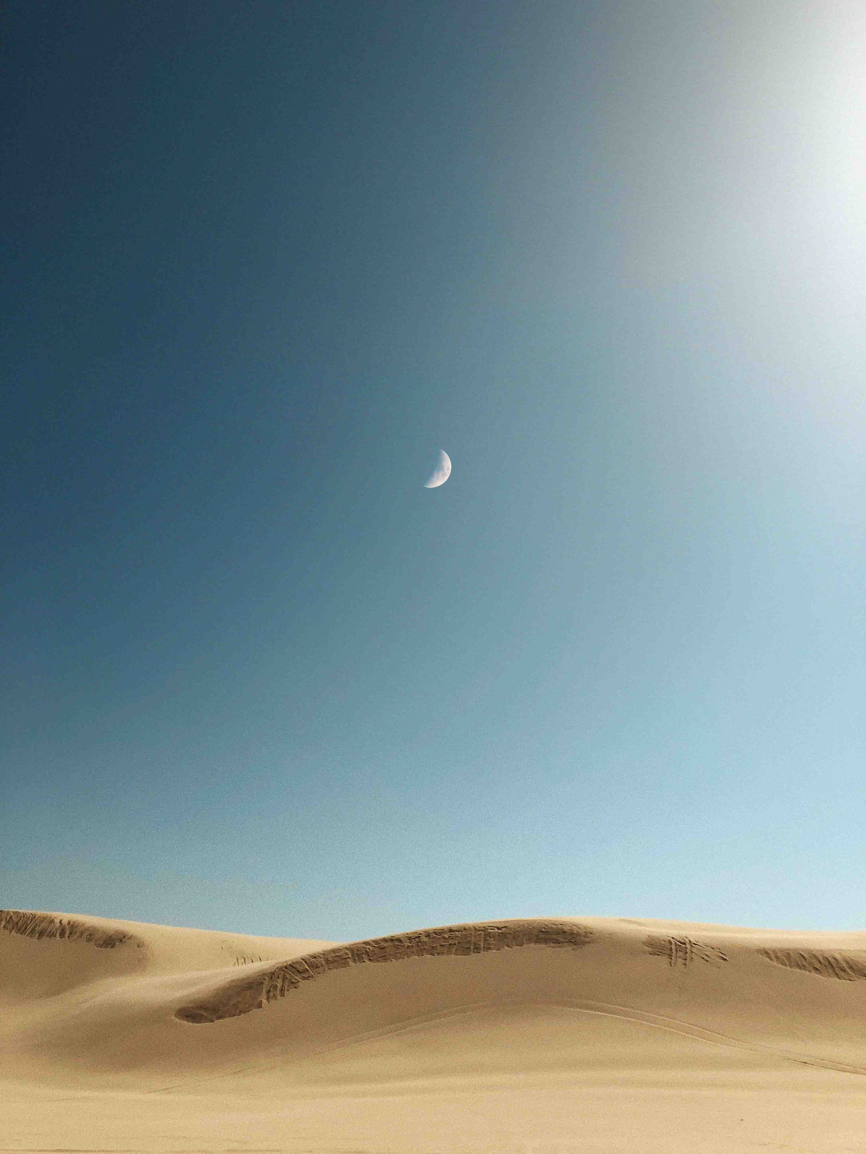 Dubai Desert Conservation Reserve