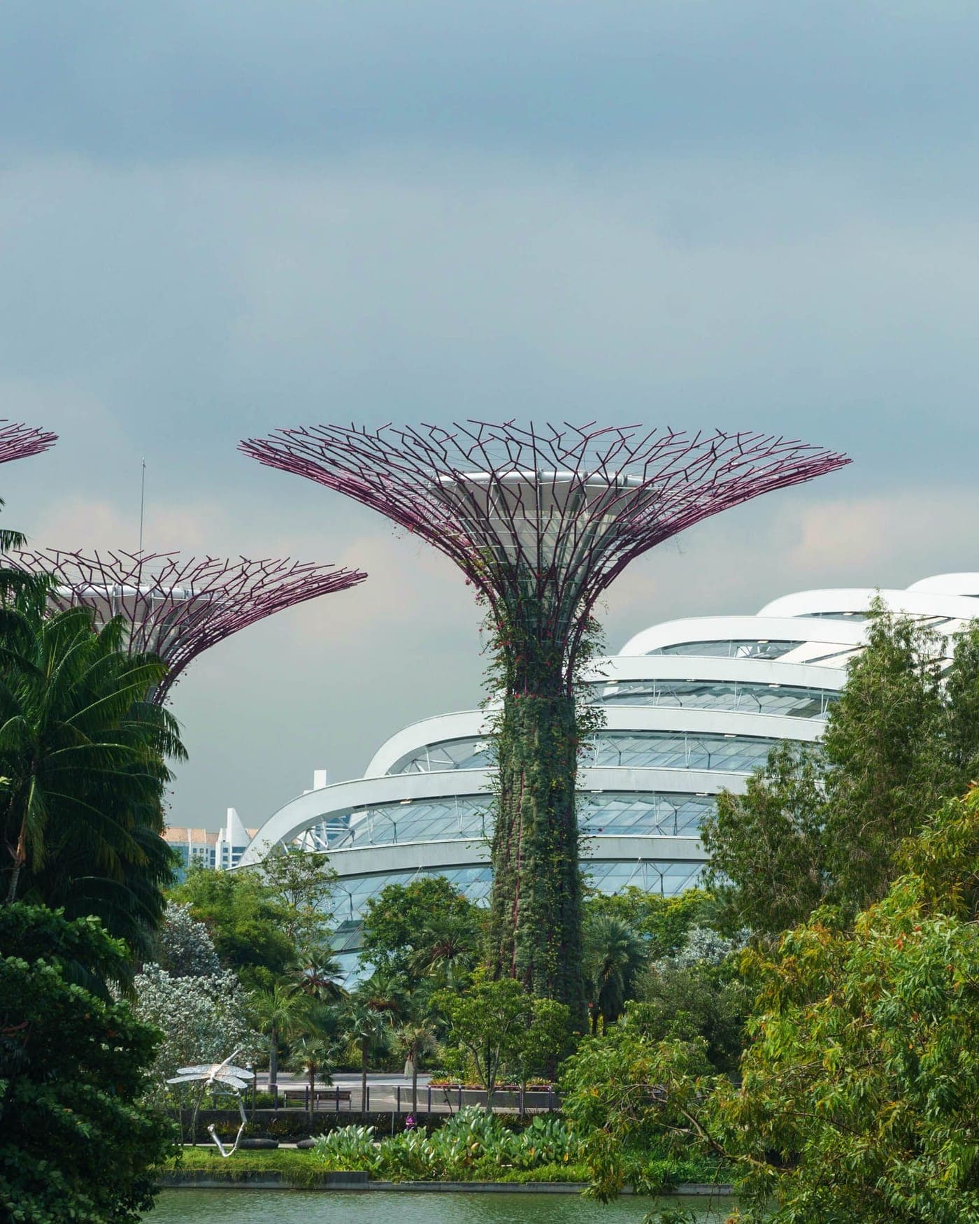The supertrees and the conservatories at Gardens by the Bay