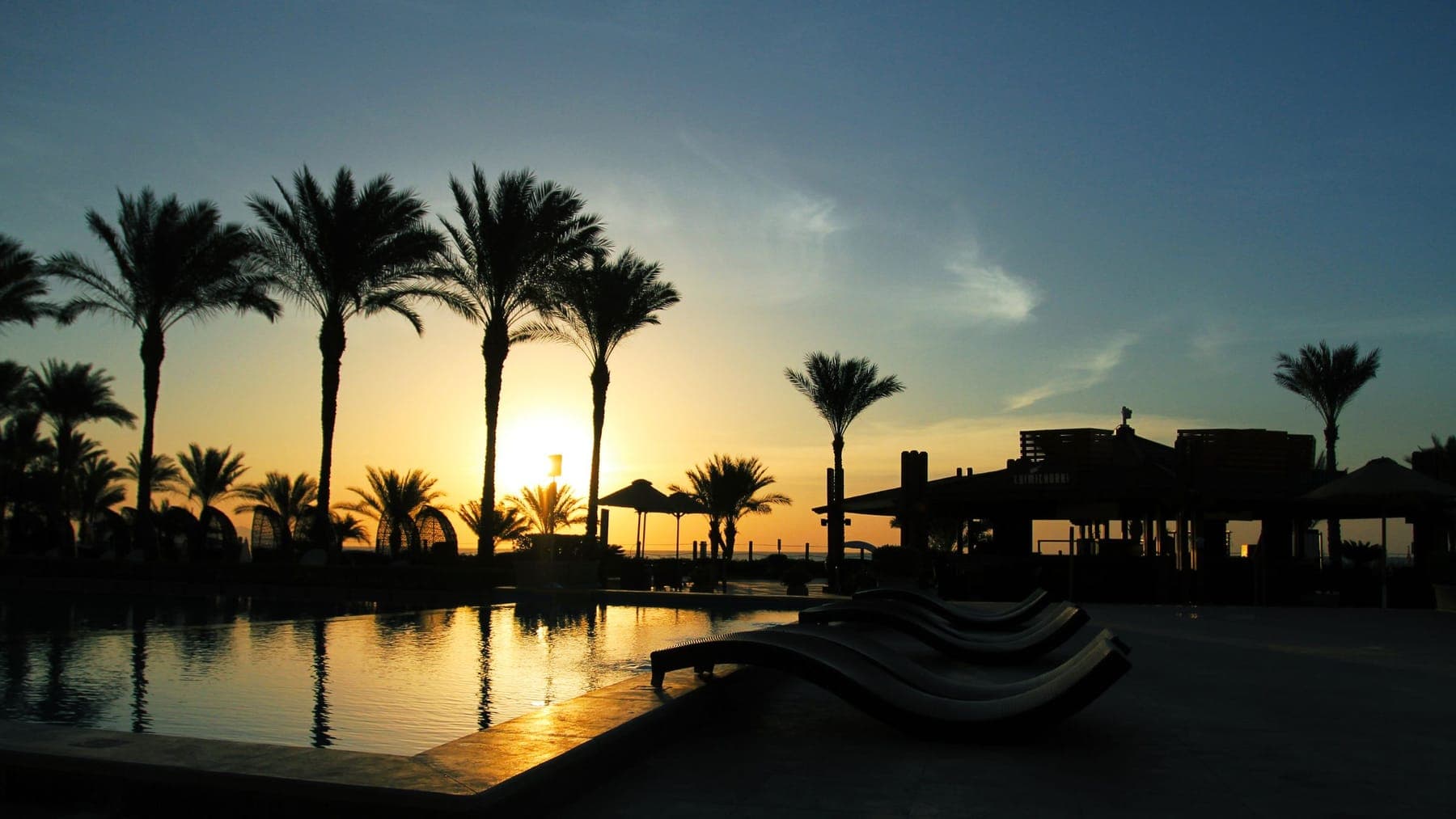 A resort pool and palms silhouetted at sunset