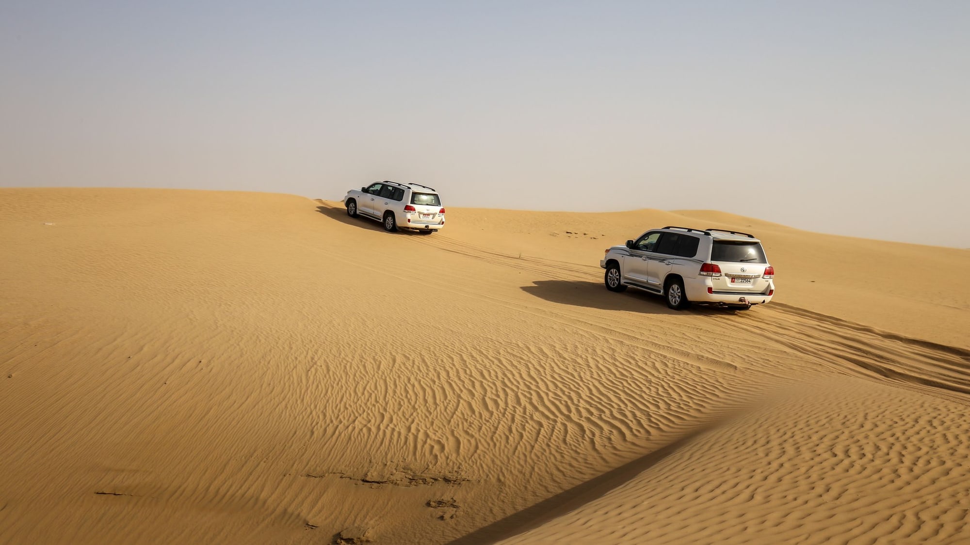 Two white four-wheel drives on a golden dune ridge at low sun, tyre tracks curving away behind them