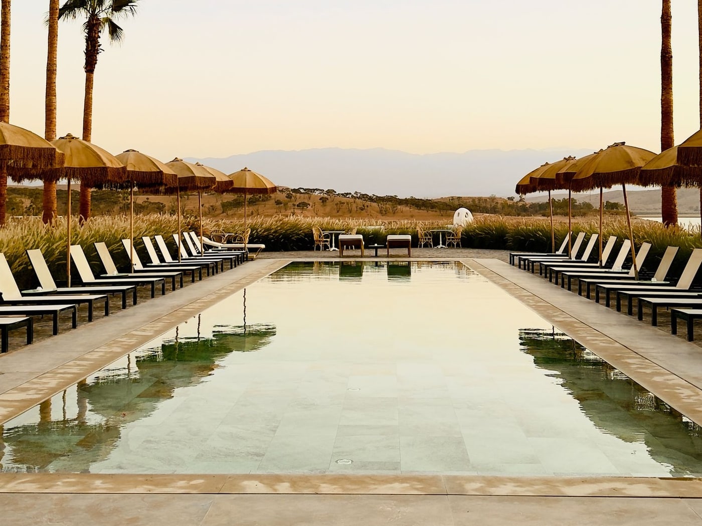 A long pool at dusk flanked by two rows of loungers under fringed ochre parasols, palm trunks framing both edges